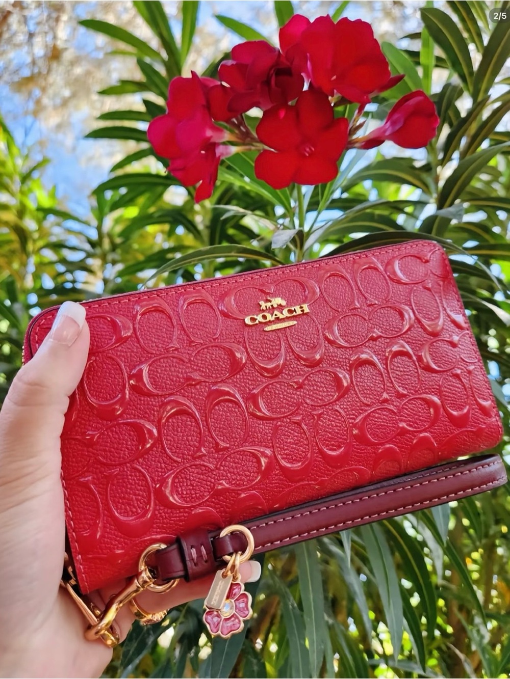 NWT Coach Accordion Zip Signature Debossed Patent Leather Wallet in Strawberry